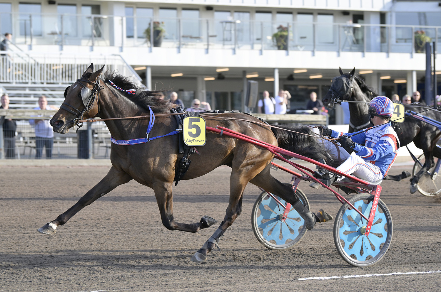 Ebba Kuce i karriärens första seger med sin tränare Anders Zackrisson i sulkyn. Foto: ALN Pressbild 